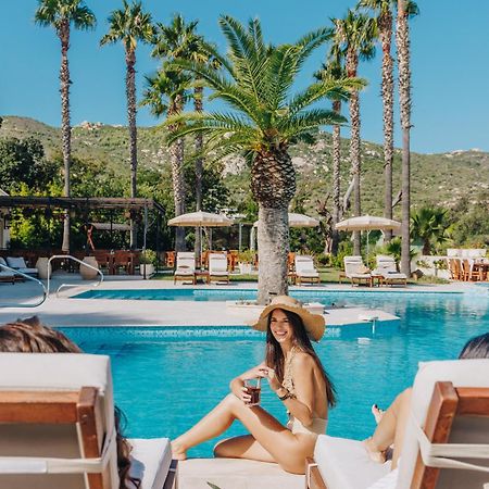 Hotel Corsica & Spa Calvi  Exterior foto